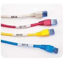 brady ؐϹI(y)(bio)ӡC(j)pr600