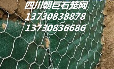 ʯ\W(wng)eW(wng)ߠʯ\W(wng)·o(h)W(wng)ӽˉ|l(f)