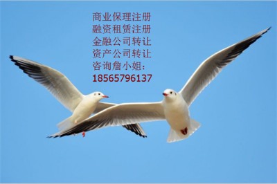 YU˾ИI(y)l(f)չ