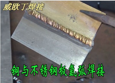~cP䓚廡W204sS~廡z