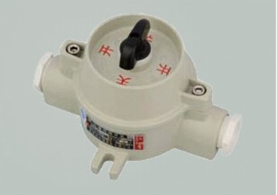 SW-10_P(gun)l(f)r(ji)