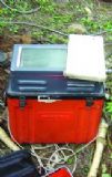 EH-4늷x(Bm(x)늌x)(D)