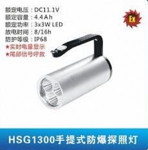 hsg1300ʽ̽՟