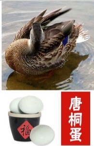 ͩ  ƺخa(chn) خa(chn) Yb20ö r  68