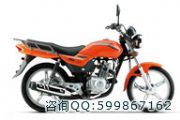 (yng) suzuki ľ gd110(A)Ħ܇