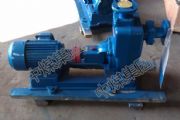 V늄(dng)zsy80/90pҺע{