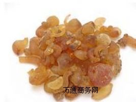 (yng)za(chn)Sʳüzr
